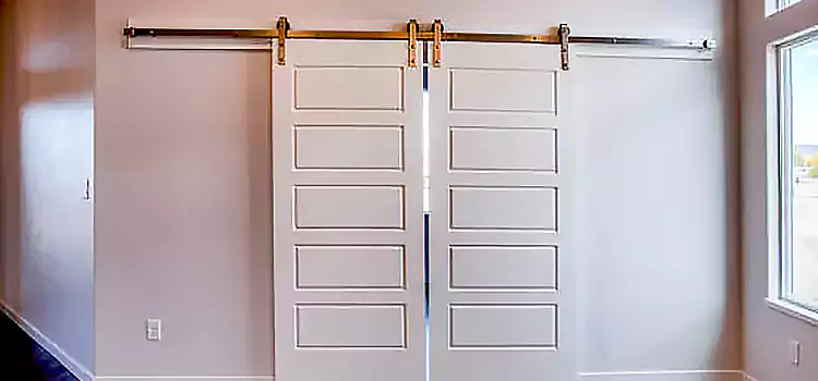 Glass Barn Door with Installation Hardware Kit Danville