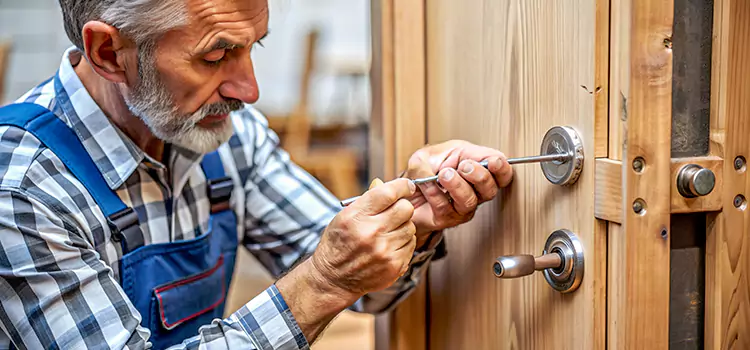 Mortise Replacement Lock Danville