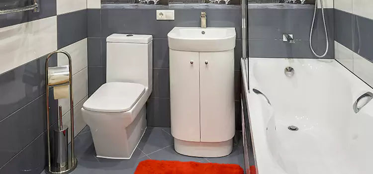 Hansgrohe Shaving Mirror Danville